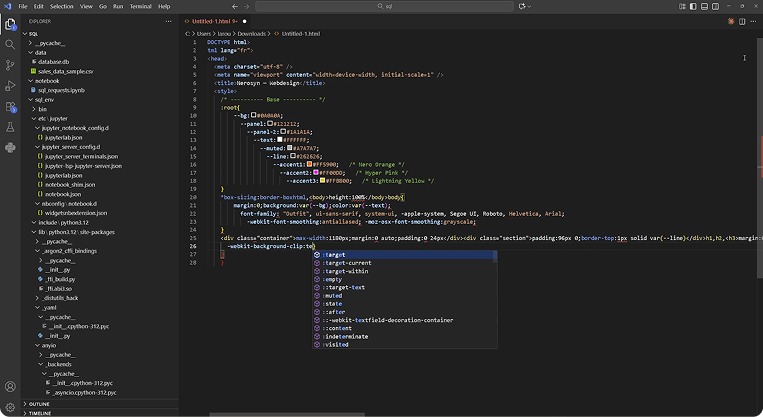 VSCode Interface